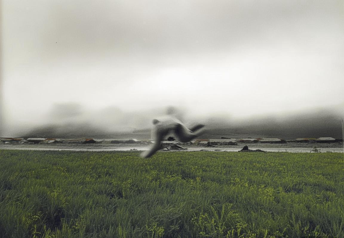 湖人总冠军与詹姆斯雕像争议：勒布朗·詹姆斯加盟湖人引发的球迷分裂